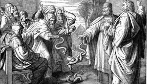 For example, dna repair systems are needed to protect the genome (all ourdna) from mutation. How Aaron Helped Moses Overcome His Feelings Of Inadequacy My Jewish Learning