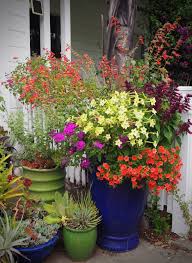 Striking in a night garden. Small Garden Big Color Finegardening