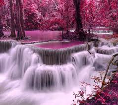 A Waterfall In A Forest Of Pink Flower Trees Wallpaper Waterfall Scenery Waterfall Wallpaper Forest Waterfall
