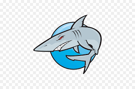 Download great white shark images and photos. Great White Shark Hammerhai Cartoon Hai Png Herunterladen 600 600 Kostenlos Transparent Hai Png Herunterladen