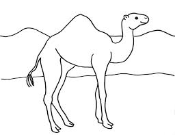 Are you a parent or a teacher? Camel Coloring Page Art Starts