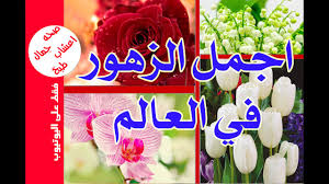 اجمل الزهور في العالم مع الاسماء Youtube