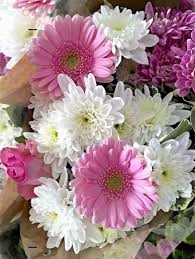 Pin By Birutė Jurkuvienė On Beauty Beautiful Flowers Pretty Flowers Amazing Flowers
