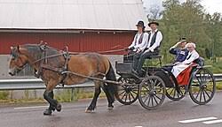 Victoria (carriage) - Wikipedia