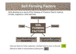Chemical weathering turns hard minerals into soft ones. An Introduction To Soils Soil Formation And Terminology
