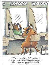 Gary Larson Far Side Pinterest The Far Side Gary Larson Cartoons Far Side Comics