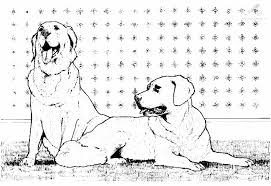 Verhuisdieren zorgt voor de perfecte match tussen mens en huisdier. 1001 Kleurplaten Dieren Hond Kleurplaat 2 Hondjes