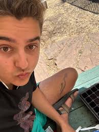 Roommate wanted for Erasmus in Alicante