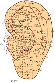 auricular therapy chisense acupuncture health beauty clinic