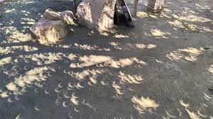 Batu pahat, also called bandar penggaram, is a town in batu pahat district, johor, malaysia. The Shadow Of A Tree During An Eclipse Loc Kampung Minyak Beku Batu Pahat Malaysia