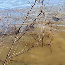 23 hours ago · hochwasser in nrw : Hpflxvomr87hvm