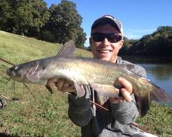 Image of Channel Catfish in Trinity River