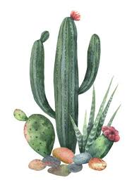 Watercolor cactus and succulent set. Cactus Illustrations Royalty Free Vector Graphics Clip Art Istock Ilustrasi Daun Lukisan Kaktus Seni Daun