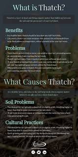 Dethatch only when the thatch layer in your yard is greater than 1/2 inch thick. The When Why And How Of Dethatching Your Lawn