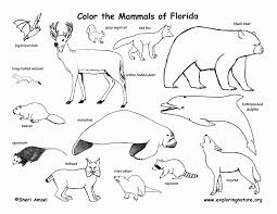 Florida legislative committee on intergovernmental relations (lcir). 7 Pics Of Florida Animals Coloring Pages Florida Coloring Page Coloring Home
