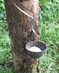 Pin On God S Own Country
