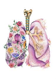 Medical Anatomy Art Stunning Watercolour Flower Lungs Print Biology Art Medical Art Anatomy Art