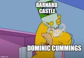 Punters pretending to be dominic cummings have flooded the barnard castle's tripadvisor page with fake reviews pretending to be the politician after he confirmed he travelled to the town during lockdown. Cummings Bleach Imgflip