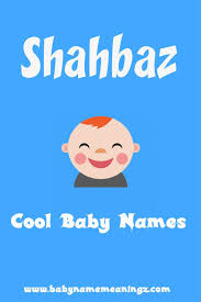Shahbaz Name Meaning Girl Names With Meaning Arabic Baby Boy Names Names With Meaning