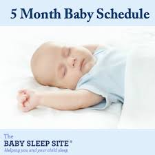 We did not find results for: 5 Month Old Baby Sleep Schedule The Baby Sleep Site