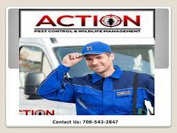 Cockroaches can lead to health problems in the home, and bad pr for commercial properties. Pest Control Company For Guaranteed Pest Removal