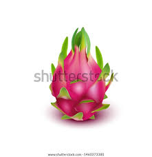 There are many devil fruits in the king legacy game and each of them has a unique specialty. What Does The Dragon Fruit Look Like In King Piece