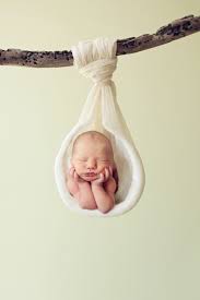 Local Birth Announcements