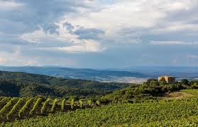 Image result for Rosso Radicofani 2008 147