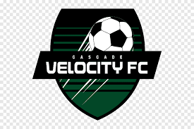 10 vectors stock photos psd files. Futsal Png Images Pngegg