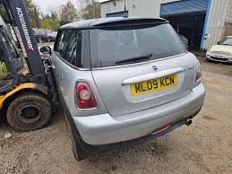 Image result for Pure Silver 2009 Mini