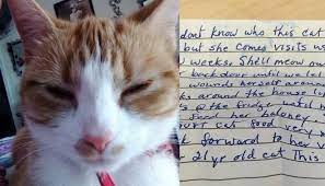 Cat Went To Visit Neighbors And Came Home With This Note Attached To Her Love Meow Cats I Love Cats Animal Stories