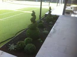 Buxus Spiral Topiary Plants Planted At One Of Our Landscaping Jobs In North Adelaide Landscaping Jobs Topiary Plants Front Yard