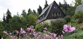 Der botanische garten schellerhau ist ein bergblumengarten in schellerhau im osterzgebirge. Augusto Veranstaltungskalender