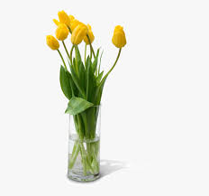 We did not find results for: Flower Vase Png Free Download Vase With Flowers Png Transparent Png Kindpng