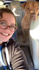 Many may remember our story and fundraiser for Bernie. He was taken away  from a homeless individual that was not caring for him at all. He is 6  months old and did