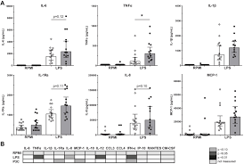 Lundberg, a veterinarian who sees patients through the cancer care clinic at the veterinary teaching hospital in urbana. Reprogramming Of Bone Marrow Myeloid Progenitor Cells In Patients With Severe Coronary Artery Disease Elife
