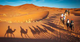 Lunch after another 15 km of walking we arrive to the big dunes of erg chigaga, reaching a height of 300 m and a span of 40 km.here you can admire the sunset and experience a different world, one made of. Tour Family Morocco Adventure Private Tour Explore Ptfat