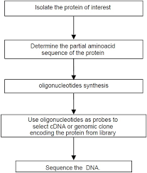 procedures to view aberrations a travel from protein to gene