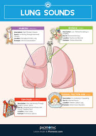 Pin By Jess Mcwhorter On Rn In 2021 Nursing School Survival Nursing School Notes Medical Student Study