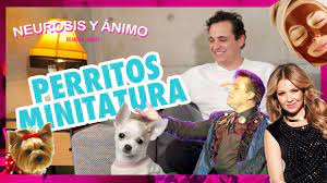 Neurosis Y Animo Por Que La Gente Llora En Tik Tok Ep 7 Youtube