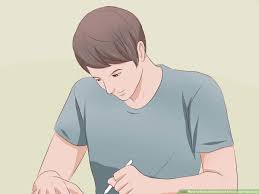 Check spelling or type a new query. 3 Ways To Build 3d Models Of Animal And Plant Cells Wikihow