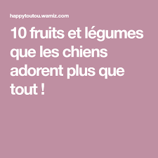 Chien Et Chiot Dans L Actualite Wamiz Nourriture Chien Recettes Pour Chien Chien