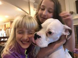 Fighting For Fido Inc