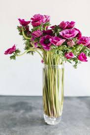 8 main street, hingham, ma 02043. Shopper S Diary Behind The Scenes At Winston Flowers In Boston Gardenista