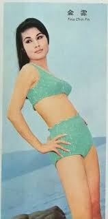 From the great action comedy temptress of a thousand faces girls catfight pillow fight twins identity rt @zackybartowski: Tina Chin Fei Photos News And Videos Trivia And Quotes Famousfix