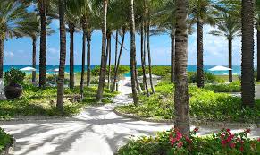 Florida, surfside, miami beach, north miami beach, turtle walk, public art. Hotels In Surfside Miami Beach Grand Beach Hotel Surfside North Miami Beach Oceanfront Hotels