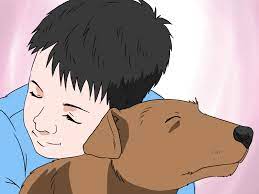Show your parents your schedule and prove you have thought this through carefully. How To Convince Your Parents To Let You Have A Pet 13 Steps