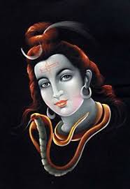 hari shah (harib2816)