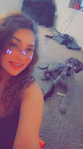 Great Dane puppies pictures and experiences