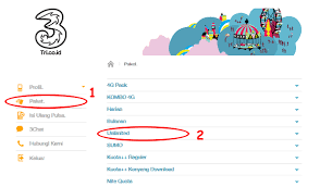 Kuota aon 3gb (berlaku 24 jam, aktif selamanya) + kuota streaming 3gb untuk akses aplikasi youtube, netflix, viu, genflix, klikfilm. Cara Membeli Paket Internet Tri Unlimited Cuma Rp3000 Www Arie Pro
